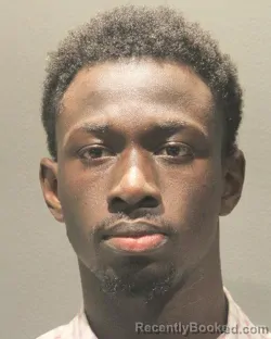 Mugshot of BOUBACAR GUEYE