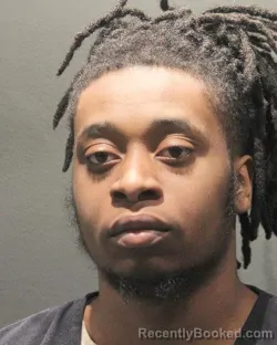 Mugshot of JEWLYAN BROWN