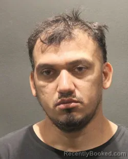 Mugshot of LUIS FERNANDO GRIJALVA CASTRO