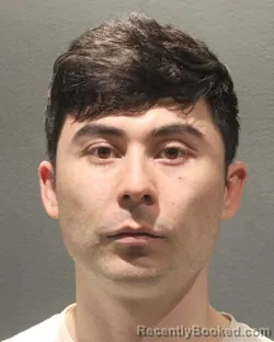 Mugshot of AIERKEN AIERPA