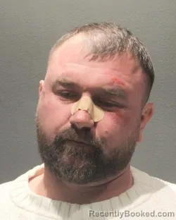 Mugshot of VITALIE GRECICA