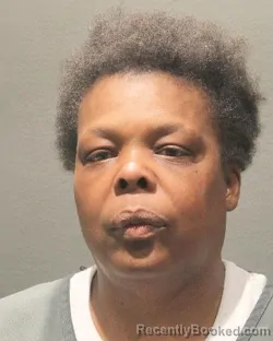 Mugshot of DEBORAH ANN HOLLINS