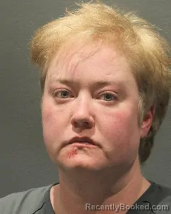 Mugshot of JANELLE SUZANNE ATEN