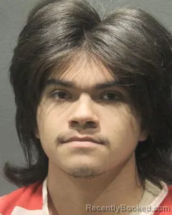 Mugshot of MOISES AUGUSTO AMADOR