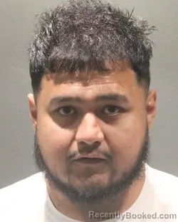 Mugshot of RONALD RODRIGUEZ