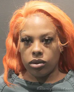 Mugshot of SINCERE ALIZAE STEWART