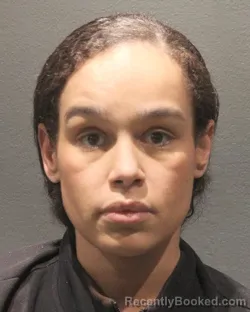 Mugshot of GABRIELLE AMBER HOLMES HARLEY