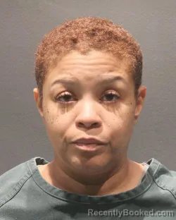 Mugshot of JENNIFER A STEVENSON