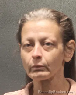 Mugshot of RENAE ALANE LONG