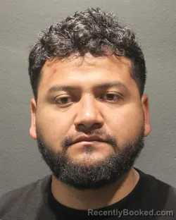 Mugshot of RICARDO JOSE VILLALOBOS RIVAS