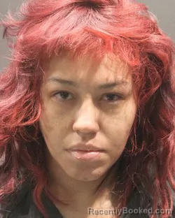 Mugshot of ISMARY JOCELINE RODRIGUEZ