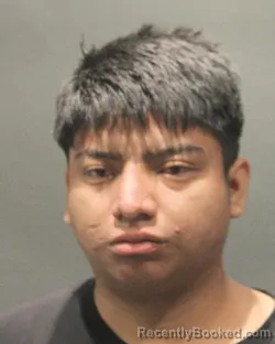 Mugshot of GERMAN ABRAHAM VICENTE VASQUEZ