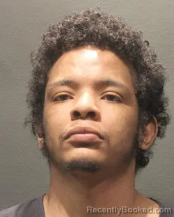 Mugshot of RIHEMAN ELNOUR