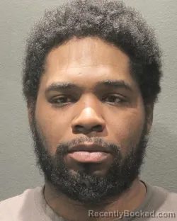 Mugshot of SEAN MICHAEL BARRON