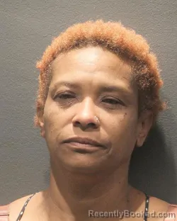 Mugshot of SHIRLEY MARIE BEALE