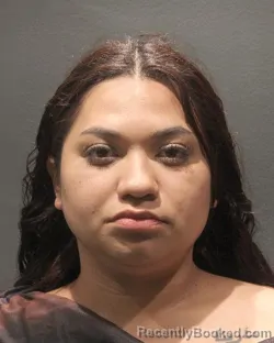 Mugshot of LISBETH FLORES RIVAS