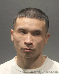 Mugshot of JOE NGUYEN TIEN