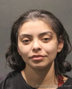 Mugshot of ANABEL BERMUDEZ