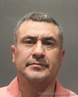 Mugshot of SILVIANO PINEDA LUJANO