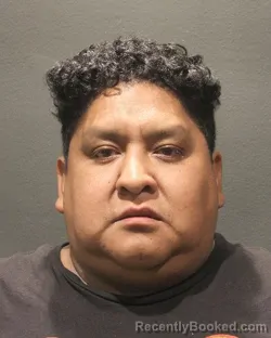 Mugshot of JOEL JANCO IBARRA