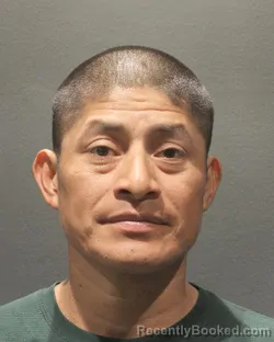 Mugshot of PEDRO RODRIGUEZ