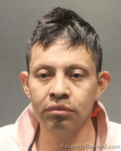 Mugshot of JUAN HERNAN CANEL CO
