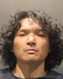 Mugshot of DAVID THACH