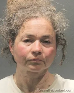 Mugshot of AMY MARIA SCOVIL