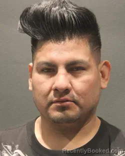 Mugshot of MARCELO SALVATIERRA MANZANO
