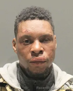 Mugshot of THAIS SELLANTA MILLER