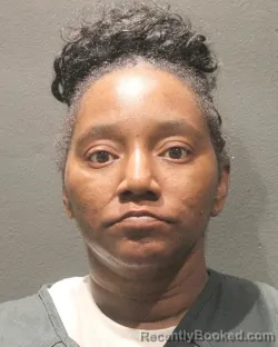 Mugshot of NEFERTARI D BIRCHETT