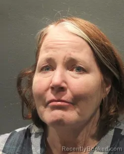 Mugshot of MELISSA LEE ROBISON