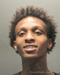 Mugshot of MICHAEL WILLIE ANDERSON