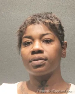 Mugshot of SHAKETA MARSHAY JOHNSON