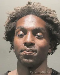 Mugshot of JOEL ANYONA RUOTH