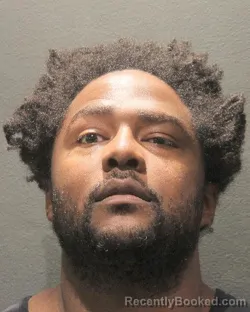 Mugshot of RICKY DALE NOLAN