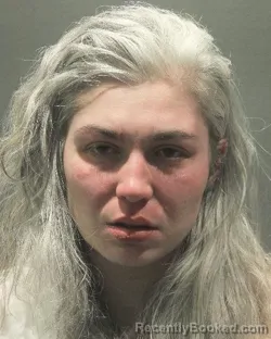 Mugshot of DANIELLE REBECCA CANFIELD