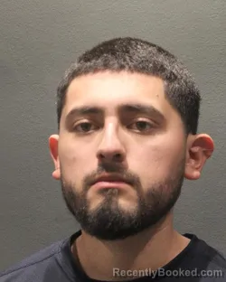 Mugshot of DANIEL PORTILLO VELEZ