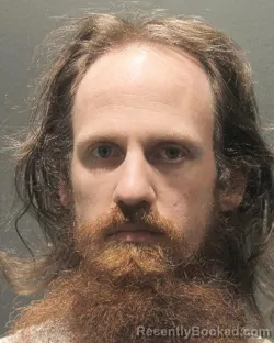 Mugshot of DAVID WESLEY WINGARD