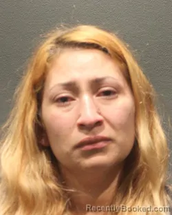 Mugshot of ODALIS JOZIBEL SANCHEZ DIAZ