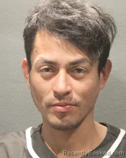 Mugshot of JOSE LUIS ROMERO PARADA