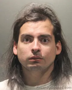 Mugshot of CHRISTOPHER MEDRANO MADRID