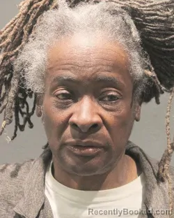 Mugshot of ANNETTE PATTERSON