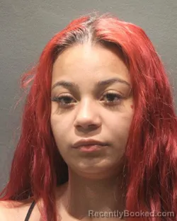 Mugshot of ANGELY ISABELLA LOBO PACHECO booked in Arlington County, Virginia on April 5, 2026