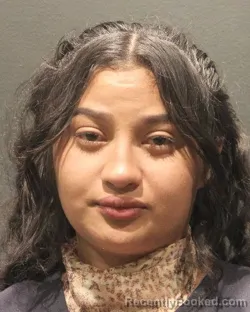 Mugshot of LISBETH N. ESPINAL ALVARADO booked in Arlington County, Virginia on April 19, 2026
