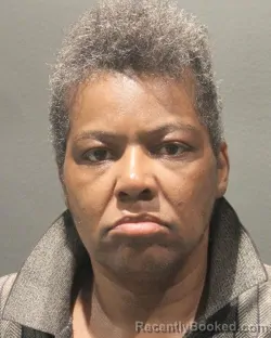 Mugshot of RACHEL MARIA MCDOWELL booked in Arlington County, Virginia on April 20, 2026