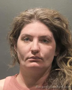 Mugshot of KRISTIN NICHOLE BRADY booked in Arlington County, Virginia on April 22, 2026