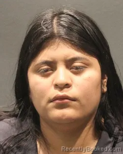 Mugshot of YESLIN MABELI IBOY XINIC booked in Arlington County, Virginia on April 22, 2026