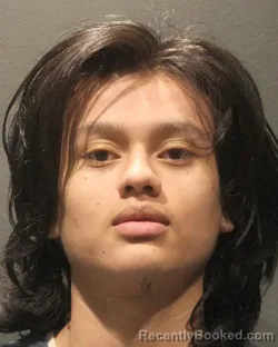 Mugshot of JEFFREY CASTRO booked in Arlington County, Virginia on April 24, 2026