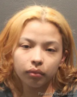 Mugshot of KELLY DE JESUS RODAS PARADA booked in Arlington County, Virginia on April 25, 2026